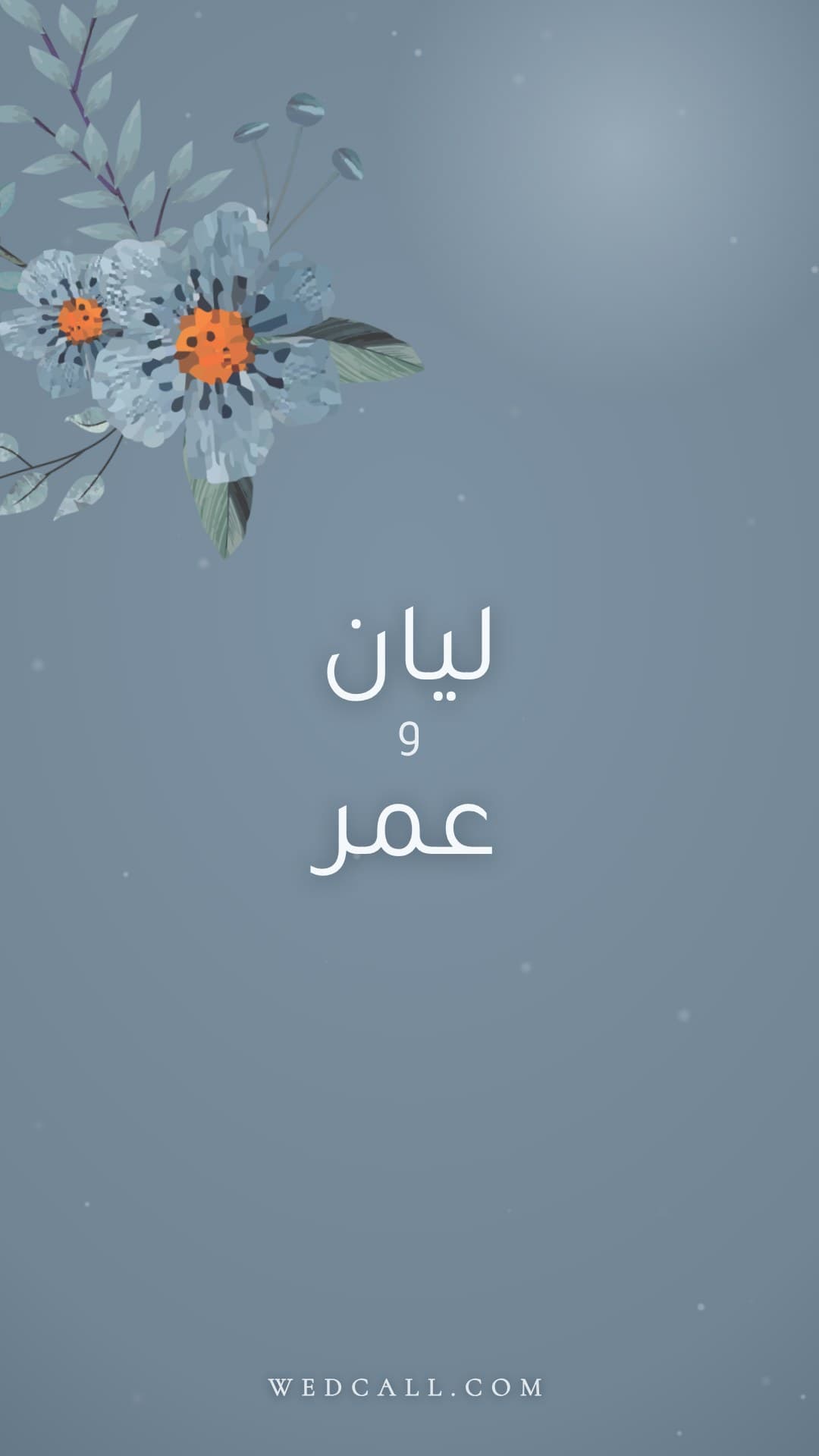 قالب فيديو دعوة Ice Blue