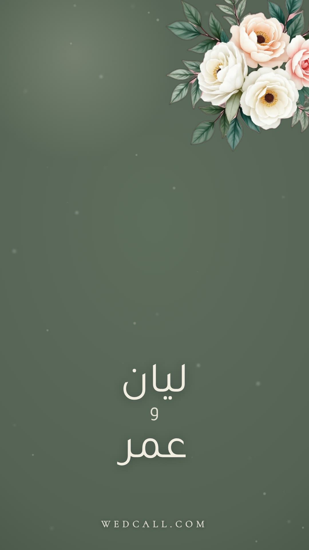 قالب فيديو دعوة حديقة المريمية