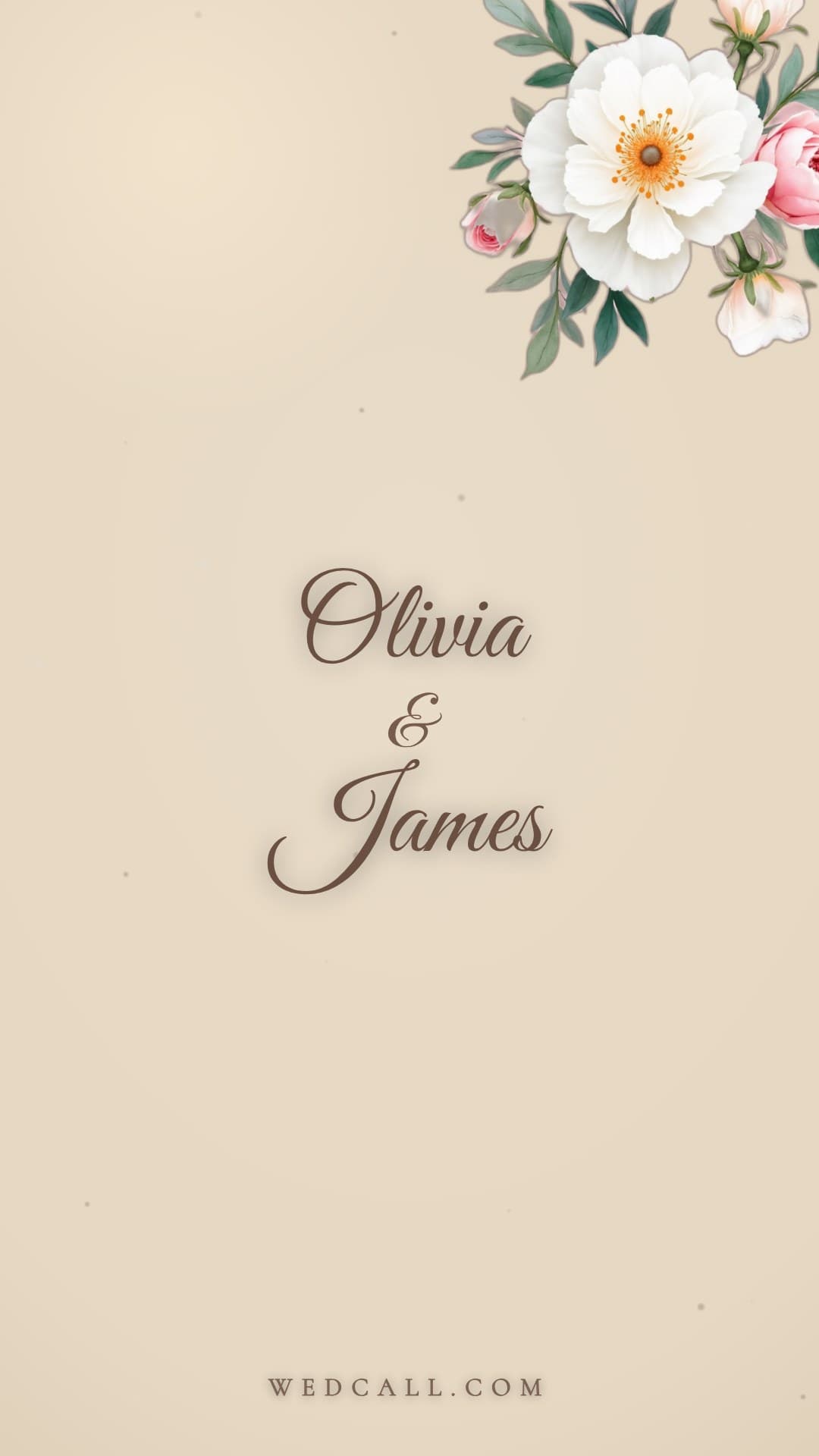 Champagne Blush invitation video template